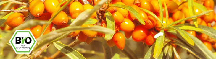 Bio-Sanddorn-Feinmark aus Deutschland