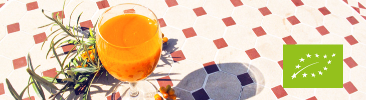 Rohstoff Bio-Sanddorn-Saft entrahmt aus deutschem Anbau